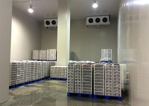 食品冷凍庫(kù)建造多少錢 食品冷凍庫(kù)建造多少錢