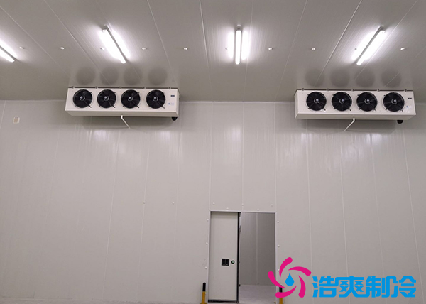 建造一個10000平方米生鮮冷庫冷鏈倉儲配送需要投資多少費用？