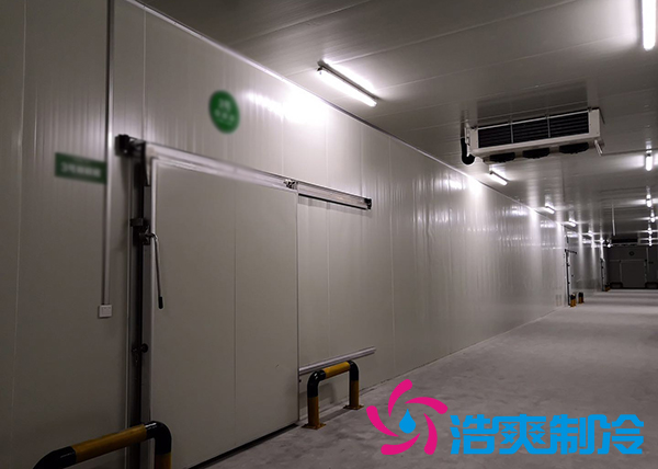 新鮮檳榔如何通過建造檳榔凍庫有效儲存？_浩爽制冷