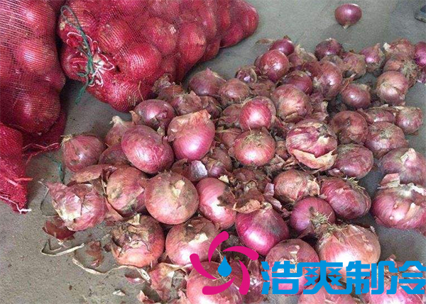 建一個洋蔥保鮮庫要多少錢呢？_浩爽制冷