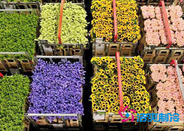 花卉冷庫安裝預算造價多少錢？-浩爽制冷