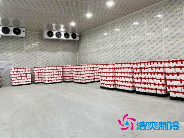 千噸級食品冷庫造價預算