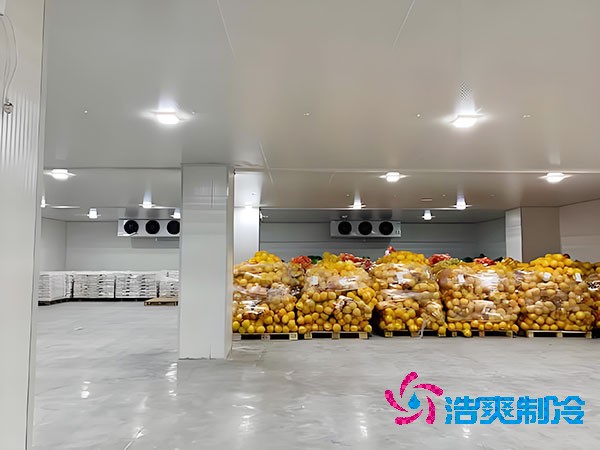 建設大型蔬菜保鮮庫的造價及安裝費用解析-浩爽制冷