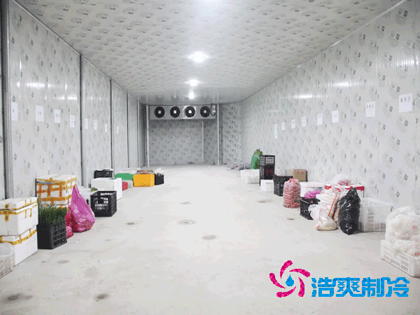 建設大型蔬菜保鮮庫的造價及安裝費用解析-浩爽制冷