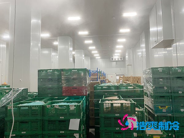 夏季蔬菜保鮮難？500噸冷庫建造價格揭秘！